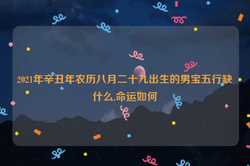 2021年辛丑年农历八月二十九出生的男宝五行缺什么,命运如何