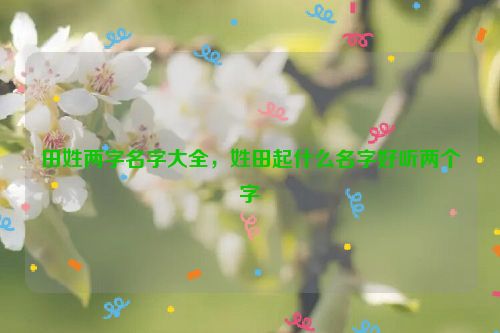 田姓两字名字大全，姓田起什么名字好听两个字