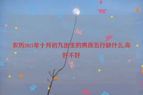 农历2021年十月初九出生的男孩五行缺什么,命好不好