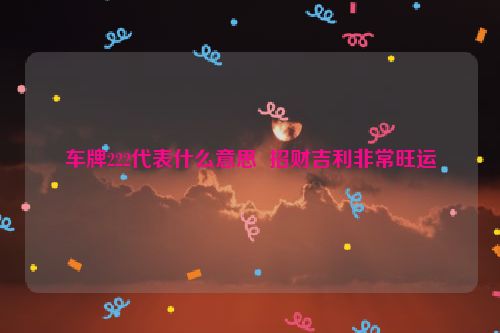 车牌222代表什么意思  招财吉利非常旺运