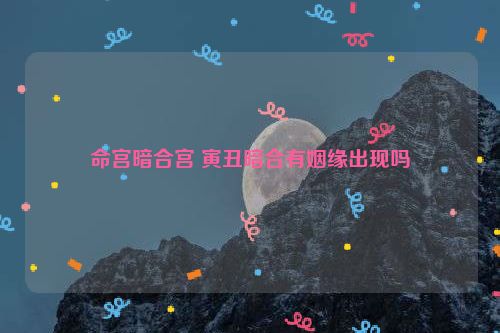 命宫暗合宫 寅丑暗合有姻缘出现吗