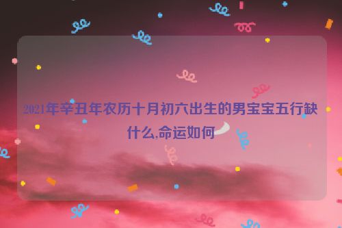 2021年辛丑年农历十月初六出生的男宝宝五行缺什么,命运如何