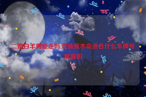 二婚白羊男能走吗,双鱼座木命适合什么车牌号属猴的