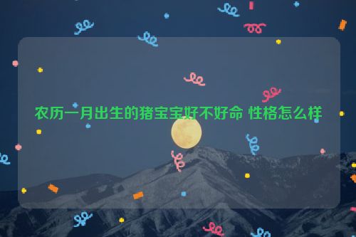 农历一月出生的猪宝宝好不好命 性格怎么样