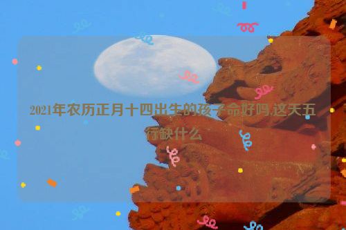 2021年农历正月十四出生的孩子命好吗,这天五行缺什么