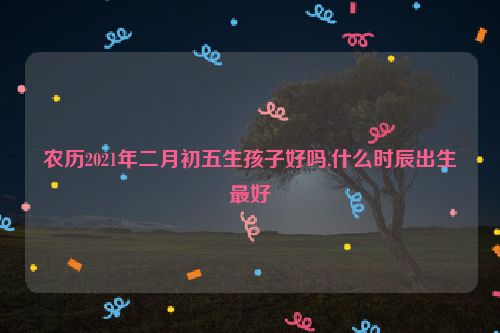 农历2021年二月初五生孩子好吗,什么时辰出生最好