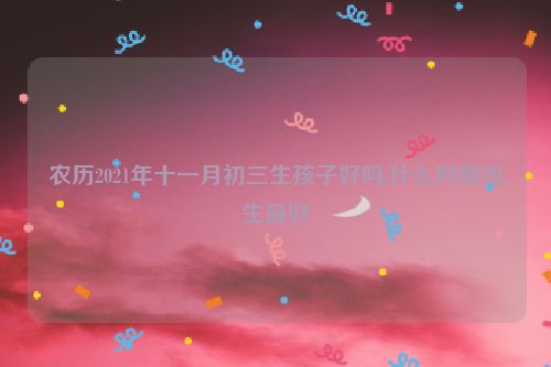 农历2021年十一月初三生孩子好吗,什么时辰出生最好