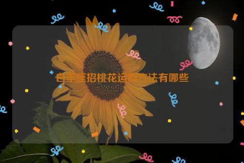 白羊座招桃花运的方法有哪些