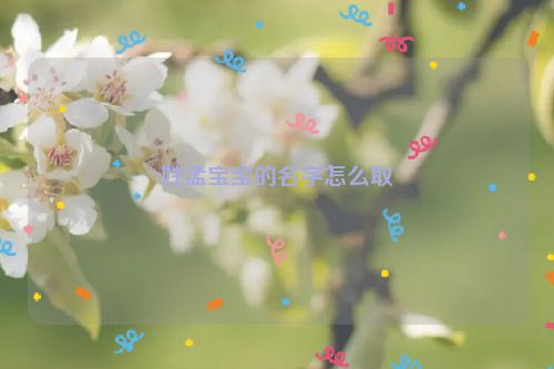 姓孟宝宝的名字怎么取