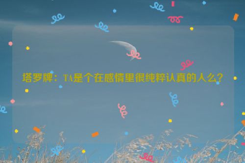 塔罗牌：TA是个在感情里很纯粹认真的人么？