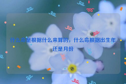 什么命是根据什么来算的，什么命根据出生年还是月份