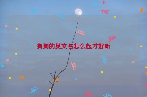 狗狗的英文名怎么起才好听