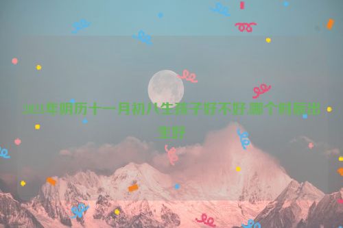 2021年阴历十一月初八生孩子好不好,哪个时辰出生好