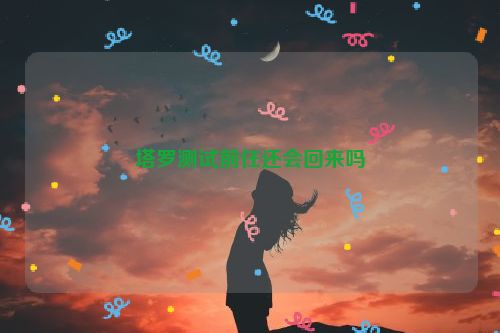 塔罗测试前任还会回来吗