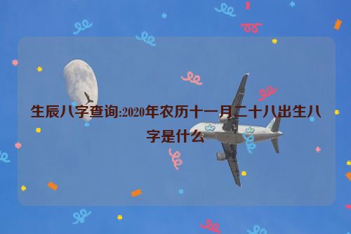 生辰八字查询:2020年农历十一月二十八出生八字是什么