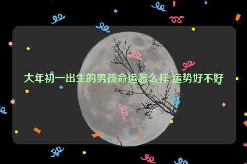 大年初一出生的男孩命运怎么样 运势好不好