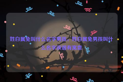 姓白属兔叫什么名字男孩，姓白属兔男孩叫什么名字诙谐有寓意