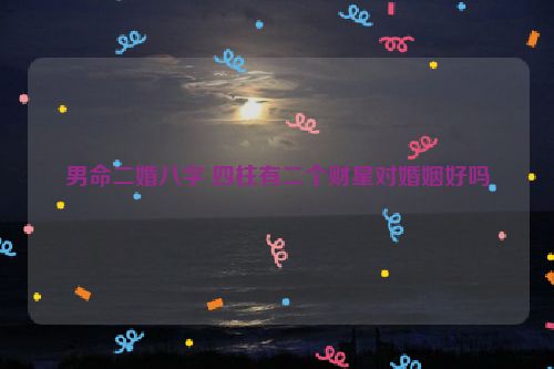 男命二婚八字 四柱有二个财星对婚姻好吗