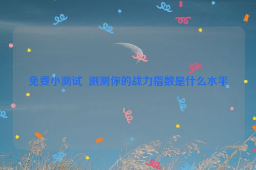 免费小测试  测测你的战力指数是什么水平