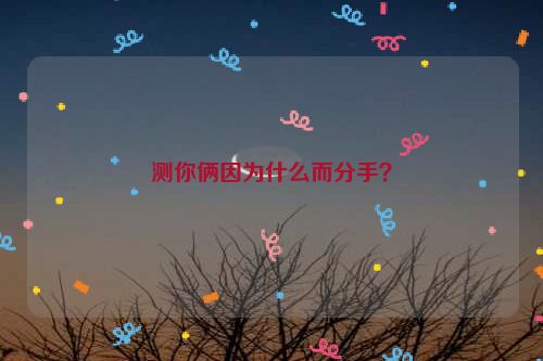 测你俩因为什么而分手？