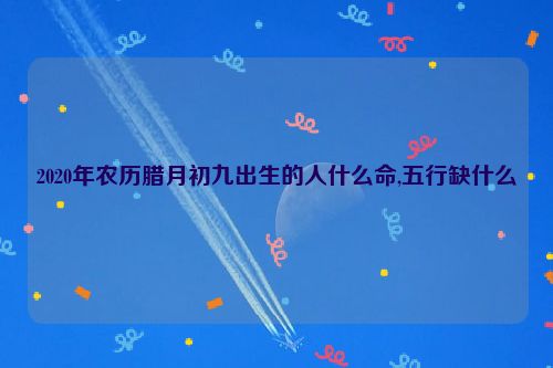 2020年农历腊月初九出生的人什么命,五行缺什么