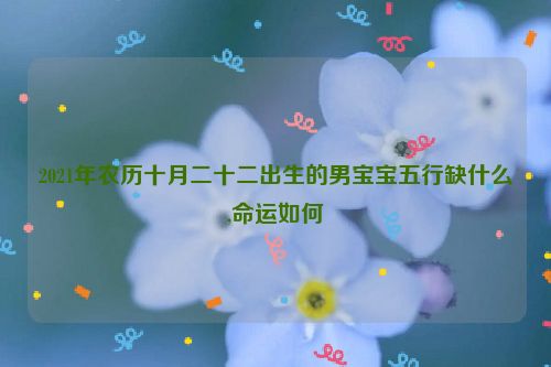 2021年农历十月二十二出生的男宝宝五行缺什么,命运如何