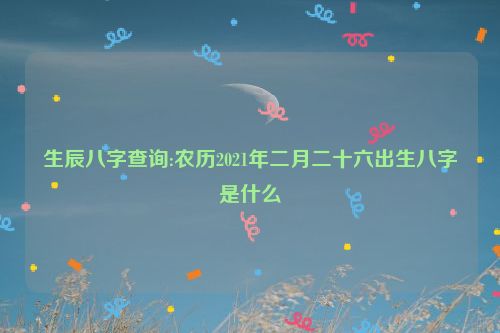 生辰八字查询:农历2021年二月二十六出生八字是什么