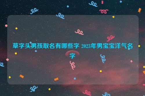 草字头男孩取名有哪些字 2023年男宝宝洋气名字