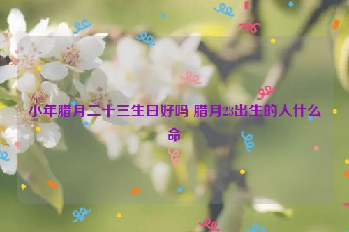 小年腊月二十三生日好吗 腊月23出生的人什么命