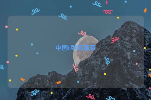 中国b型血富豪