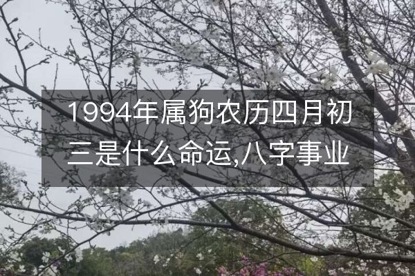 属狗命运(82年11月13属狗命运)