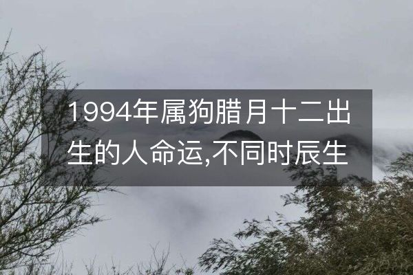 属狗命运(82年11月13属狗命运)