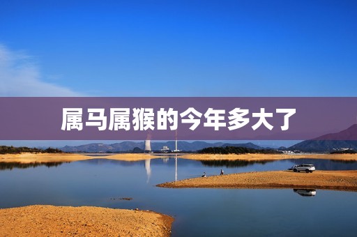 属猴今年多大岁数(44年属猴今年多大岁数)