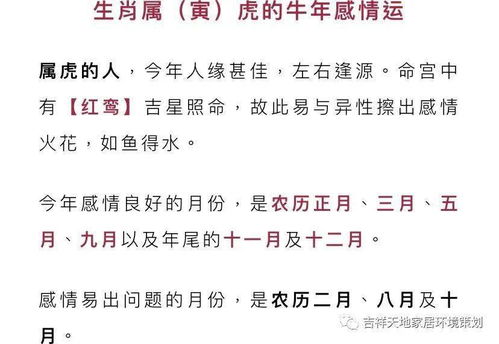 2024运势12生肖运势详解宋韶光(2024年十二生肖运势详解最新完整版)