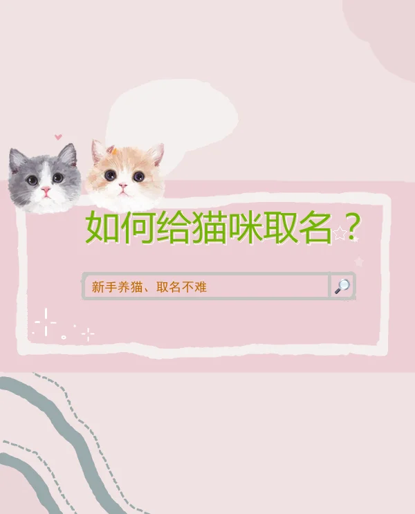 给小猫起名(给小猫起名字女孩子)