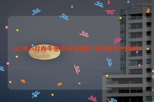 2023年10月肖牛是否应该离职 现在适合创业吗?