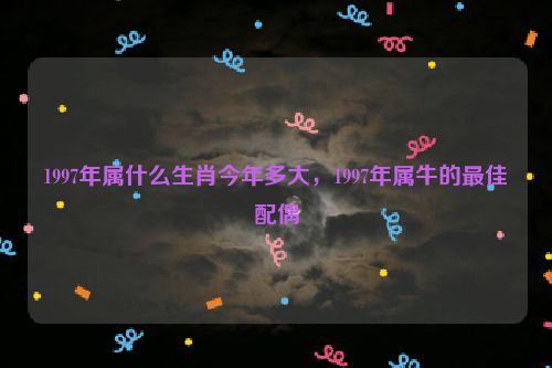 1997年属什么生肖今年多大，1997年属牛的最佳配偶