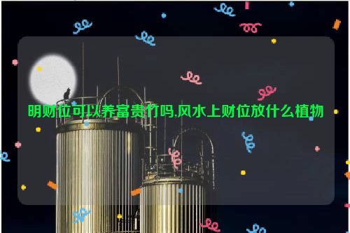 明财位可以养富贵竹吗,风水上财位放什么植物