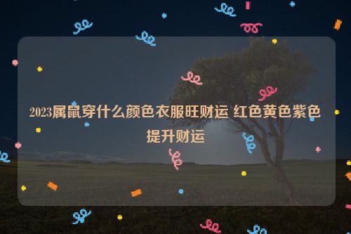 2023属鼠穿什么颜色衣服旺财运 红色黄色紫色提升财运