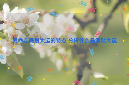 男命走偏财大运的特点 分析什么是偏财大运