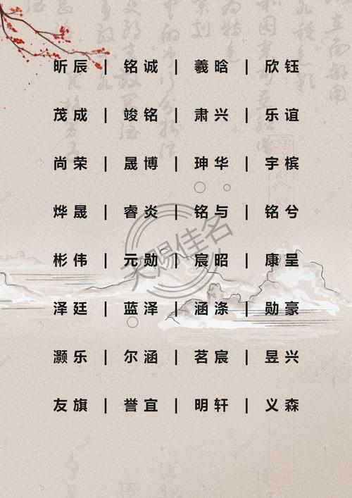 给男宝宝取名字(给男宝宝取名字姓李)