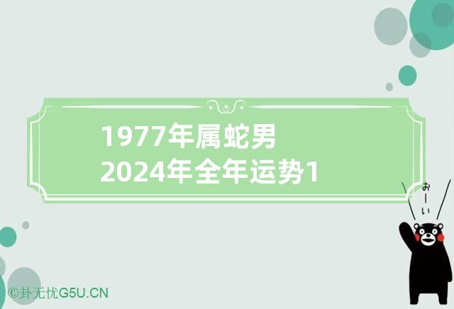 2024年运势12生肖运势详解蛇的简单介绍