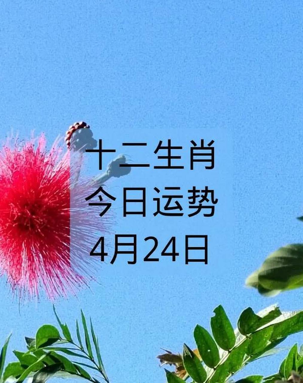 每日运势今日运势播报(每日运势今日运势播报吉祥日币)