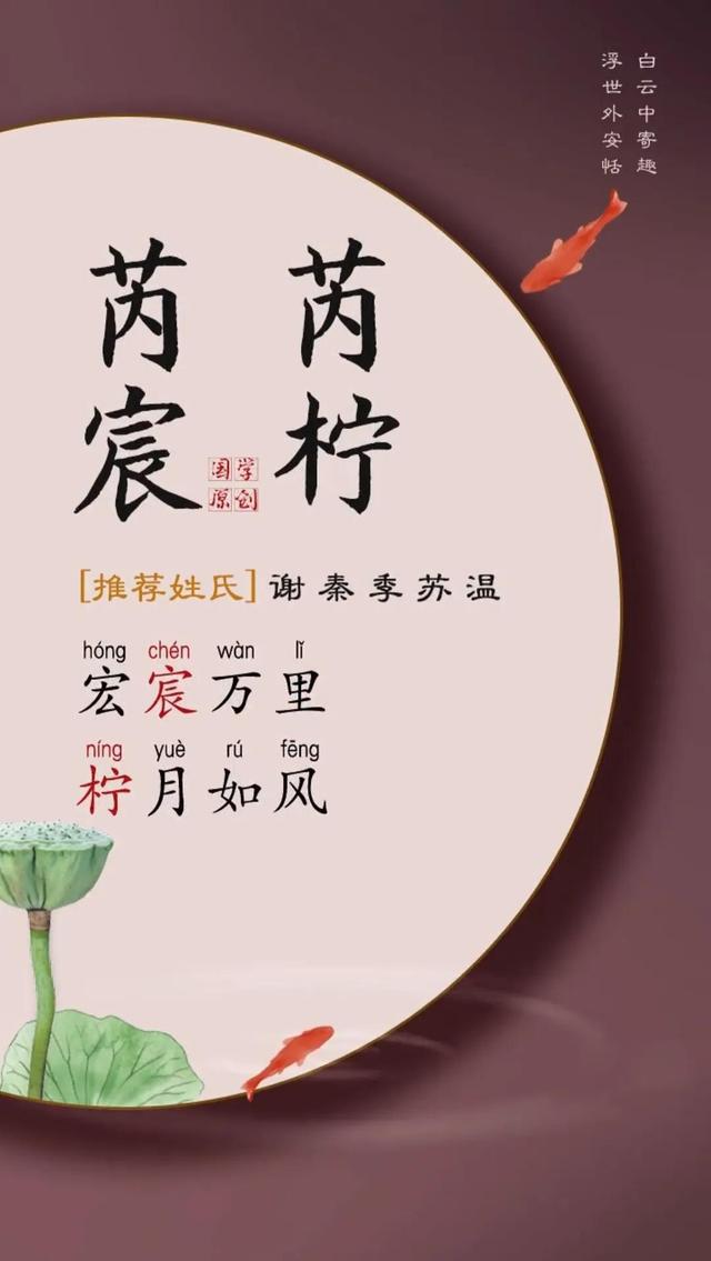 龙凤胎名字(龙凤胎名字一男一女好寓意)