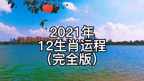 在2021年哪些生肖运气最差(2021年哪些生肖运气不好)