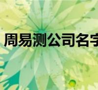 公司取名测名(公司取名测名打分)