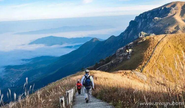 梦见自己爬山(梦见自己爬山是什么意思)