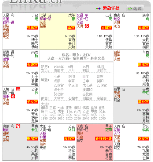 紫微命盘(紫薇命盘免费排盘详解)