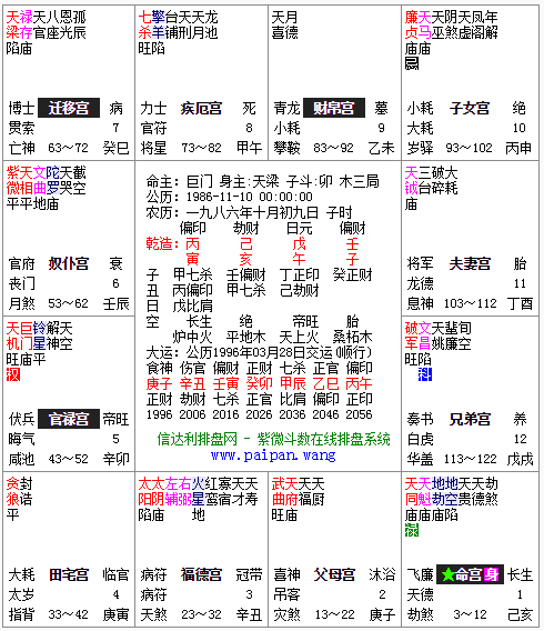 紫微命盘查询(紫微命盘查询免费算命流年2024)