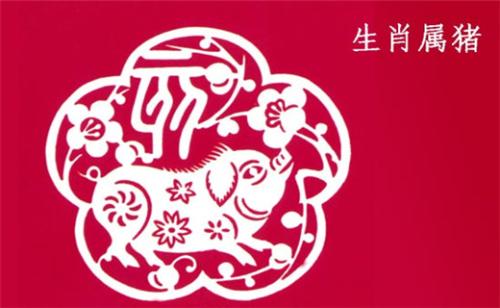 属猪2019年运势(属猪的2019年运势)